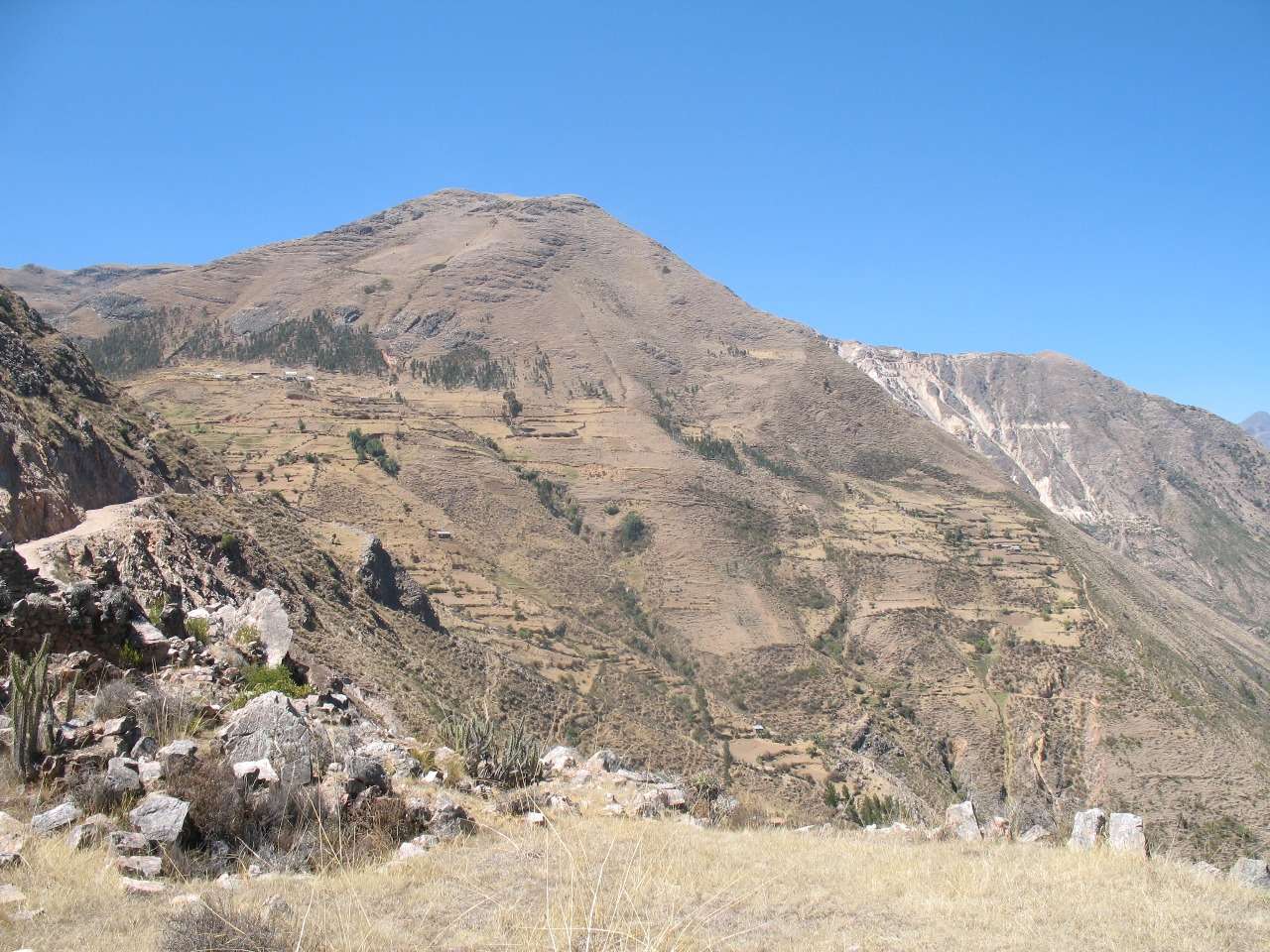 Apurímac: Altaír Minerals adquiere proyecto de cobre Venática