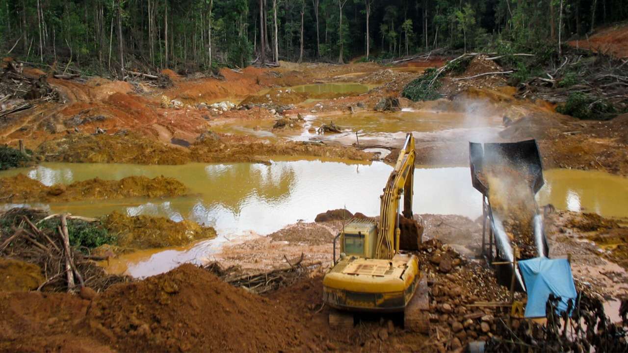 Alerta Roja en la Amazonía Peruana: Minería de Oro Devasta Humedales a Ritmo Alarmante.